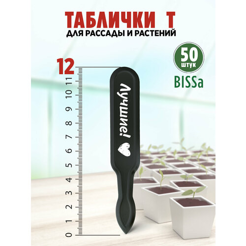 ������ ������ ������� �������� ��� ������� � ��������, Bissa �, ������, 50 �� ����