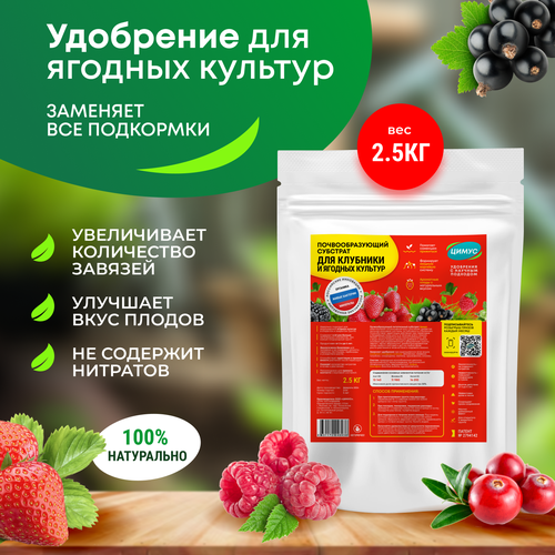 ������ ������ ����� - ������� ��������� ��� �������� � ������ ���� ����