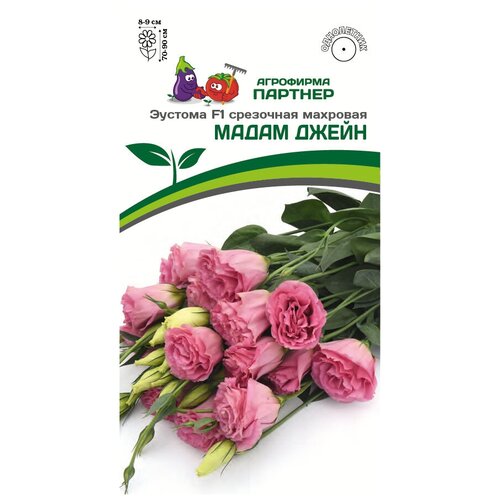 ������ ������ ������ ������� ��������� �������� 