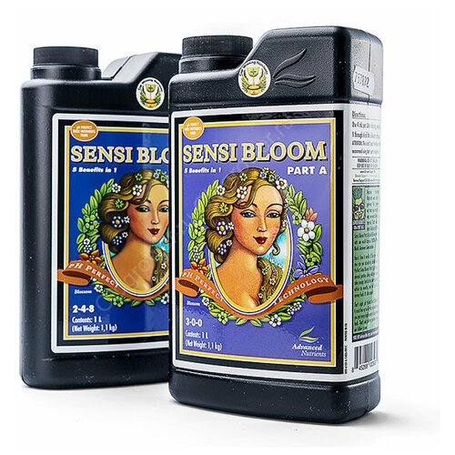 ������ ������ ��������� Sensi Bloom A+B 1 � ����