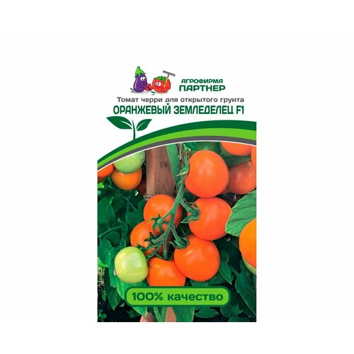 ������ ������ ������ ����� 