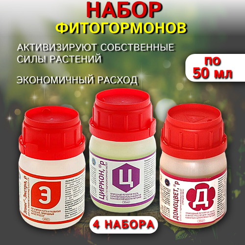 ������ ������ ����� �� 50 �� �������� + ������ + ���� ������ 4 �� ����