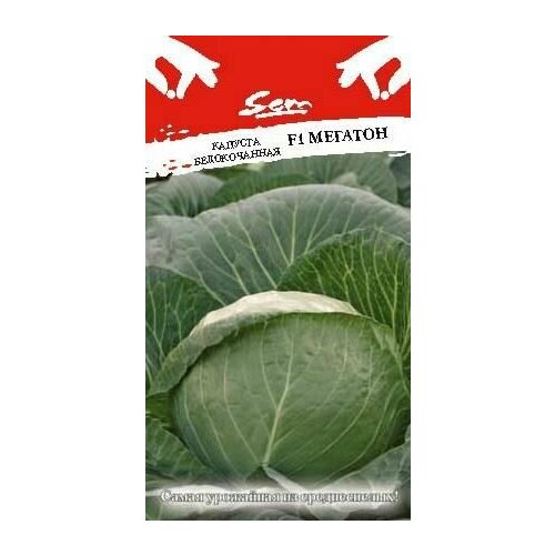 ������ ������ ������� �/� ������� F1 (1 ��������-10�� �����) ����