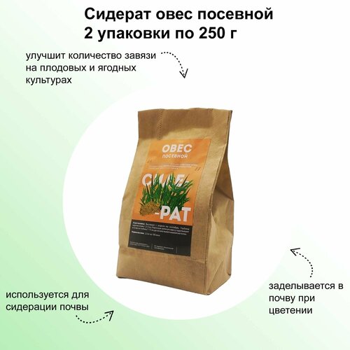 ������ ������ ������� 