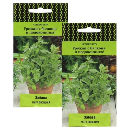 ������ ������ ���� ������� ������ 2 ������ �� 20�� ����� ����