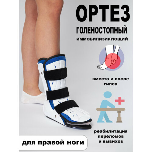 ������ ������ ����� �� ������������� ������ �������, ������ ����������������� ��� ����������� ��� �������, �������, ���������, ������ � �����������. L. ������ ����