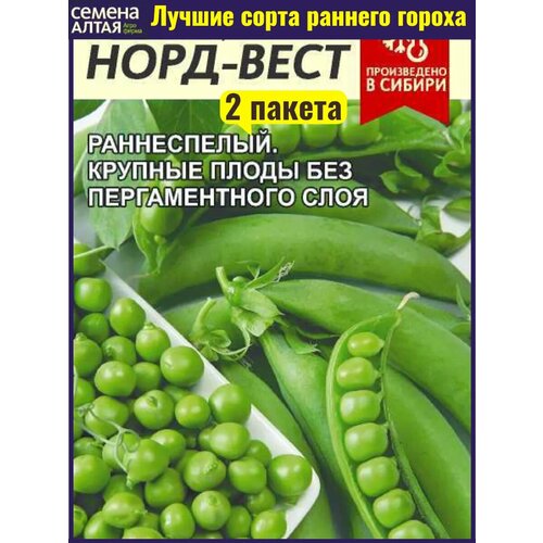 ������ ������ ������ ����� ���� ����