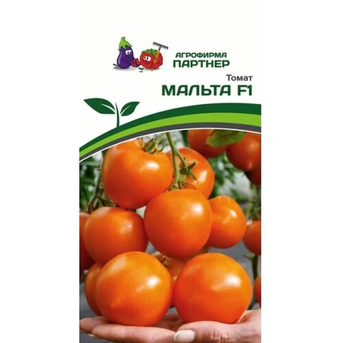 ������ ������ ������ ������ 