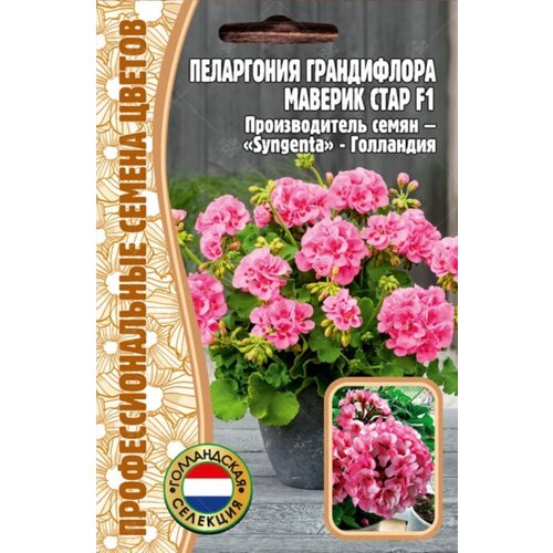 ������ ������ ������ ���������� 