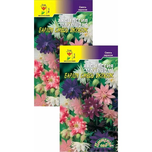 ������ ������ ��������� �������� ������ ����� (0,05 �), 2 ������ ����