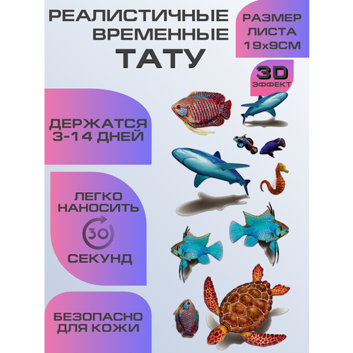 ������ ������ ���� ���������� ��������������, ��������� ���� ����