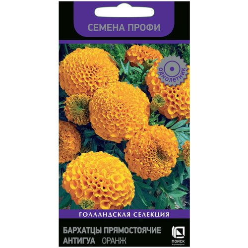 ������ ������ ������ ��������� ������������ ������� ����� 15 �� ����