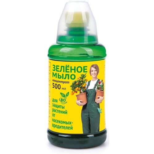 ������ ������ ���� ��������� ������ �������� ���������� ������ ����, 500 ��, 500 � ����