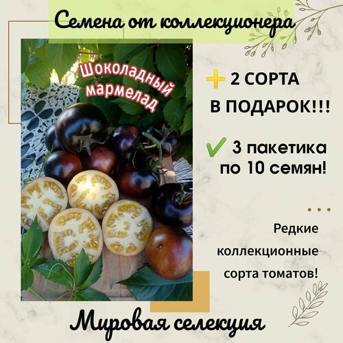 ������ ������ ����� ���������� ��������, ������� ��������, ��������������, ������������� ���� ����