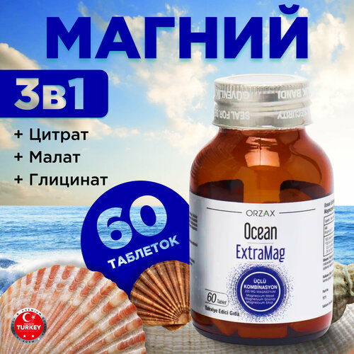 ������ ������ ������ ������ ����� �������� ��� �������� � ����� ����