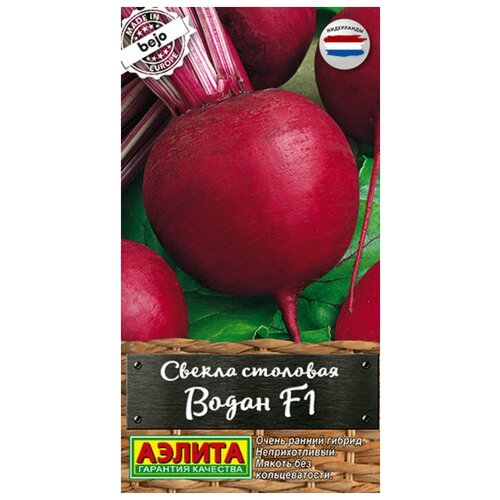 ������ ������ ������. ������ �������� 