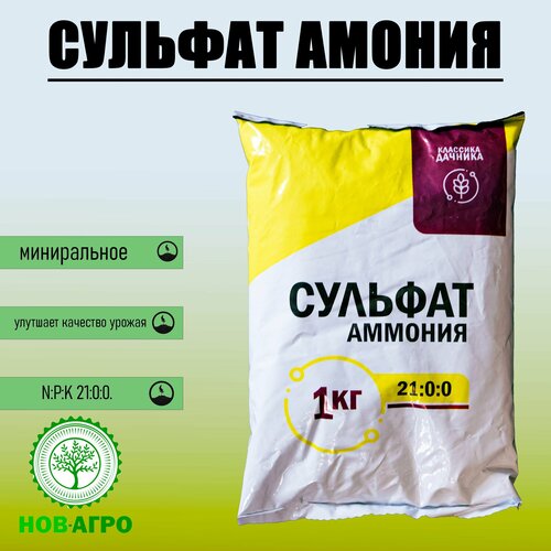 ������ ������ ��������� ������� �������, �������� �������, 1 �� ����