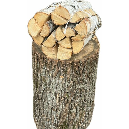 ������ ������ ����� ��������� 40 � ����