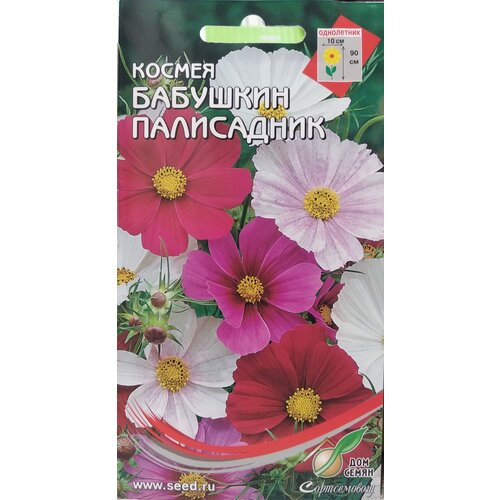 ������ ������ ������ ��� ����� ������ �������� ����������, 45 ��. ����