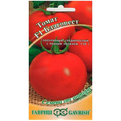 ������ ������ ������ ������ ������ �� ������ ����� ��������� F1 12 ��. ����