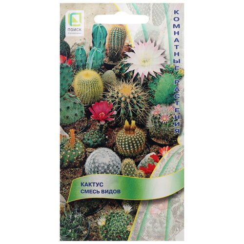 ������ ������ ������ ����� ������ ����� ����� 0.1 � ����