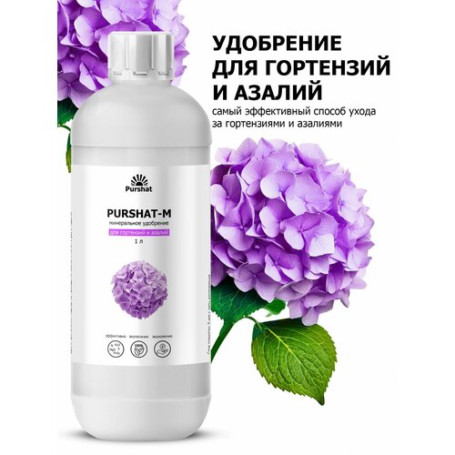 ������ ������ ��������� ��� ���������, ������������� � ������ ������ (Purshat) 1 � ����