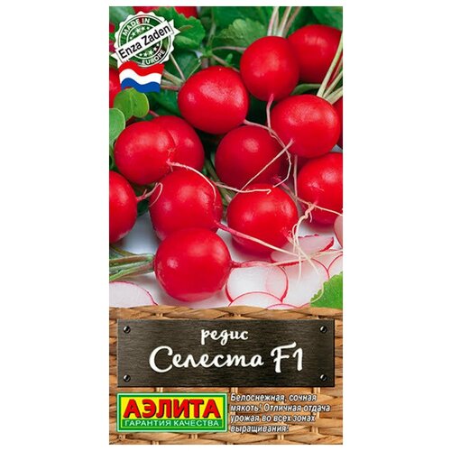 ������ ������ ������ ������. ����� 