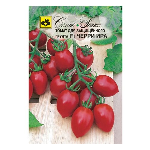 ������ ������ ����� ����� ��� F1 ����