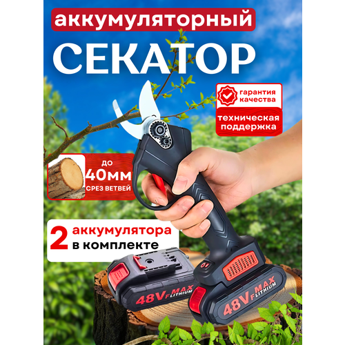 ������ ������ ������� �������������� ������� � 2 �������������� ���, ��������, ��������, ������ ����