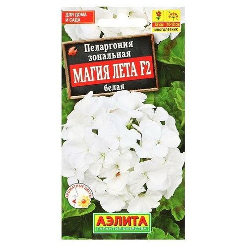 ������ ������ ������ ������ 