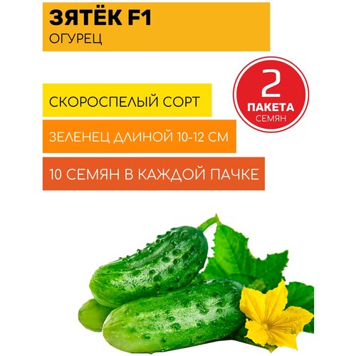 ������ ������ ������ ����� F1 (10 �����) ����