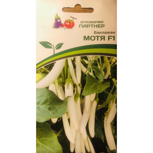 ������ ������ ������ ��������� ������������ 