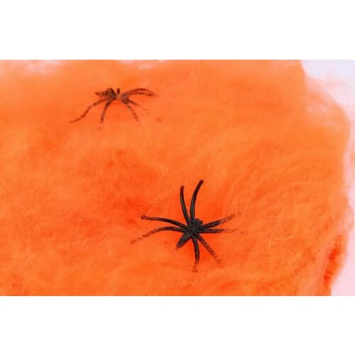 ������ ������ ������� � ������� ��������� �� �������� ����