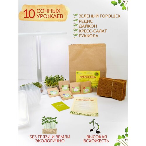 ������ ������ ����� ��� ����������� ����������� 10 �������, �����������, ����� ����