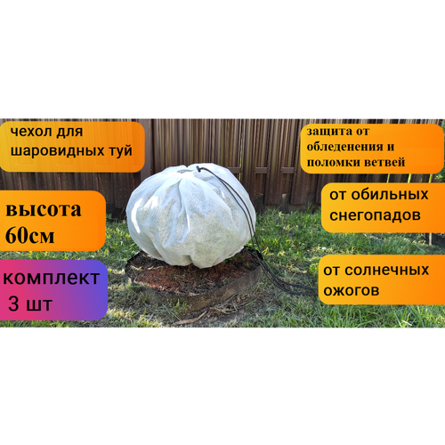 ������ ������ ������ ����� ��� ������ � �������� � ��������/��� ���������� ���/��� ���/��� ��������������/��� ��������� ������ 60*80 ��, 3 �� � ��������� ����