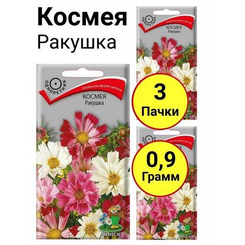 ������ ������ ������ �������, 0,3 �����, ����� - 3 ����� ����