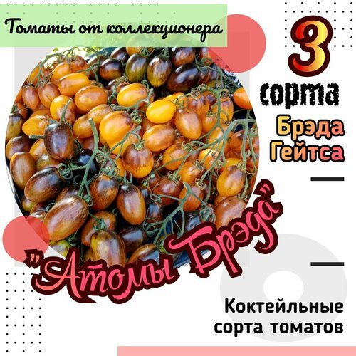 ������ ������ ����� ����� 