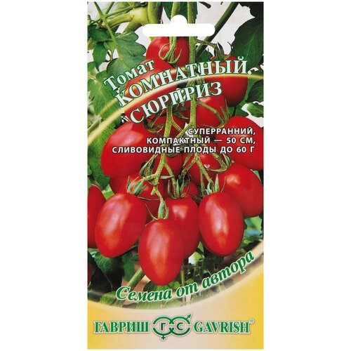 ������ ������ ����� ��������� ������� ����