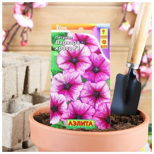 ������ ������ ������� 