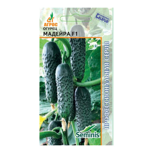 ������ ������ ������ ������ ������� F1 8�� ������������������ ������ ������� (�����) ����