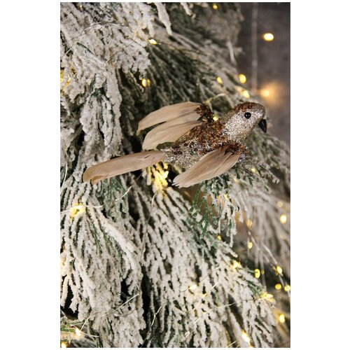 ������ ������ ������� ������� ������ �� ���� 18��, ������� ����