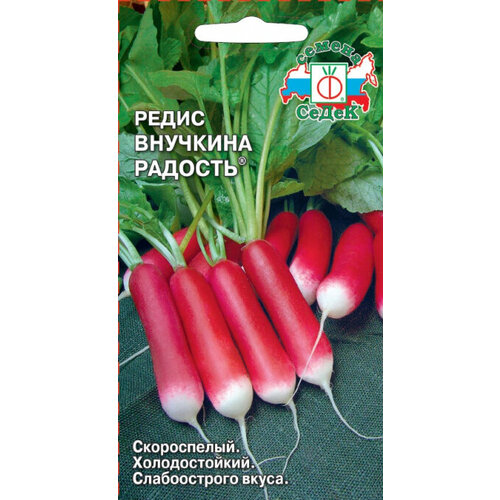 ������ ������ ������ ����� �������� ������� 2� ������ (�����) ����