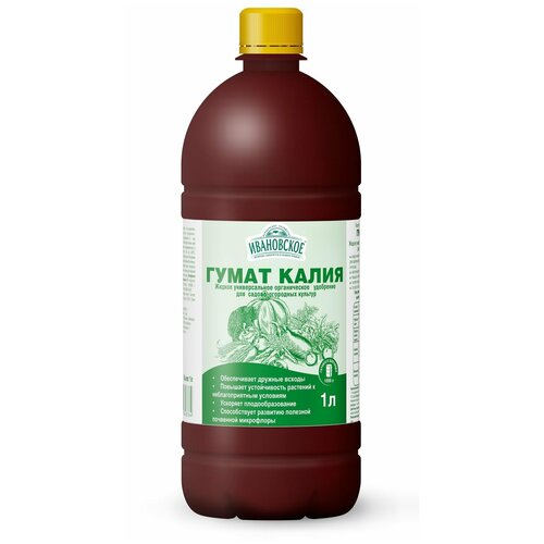 ������ ������ ������������ ��������� ����� �����, 