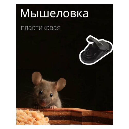 ������ ������ ��������� ����������� 1�� ����