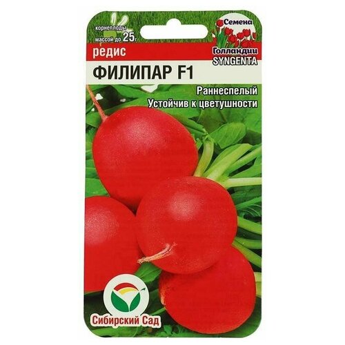 ������ ������ ������ ����� 