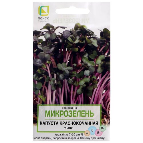 ������ ������ ������ �� ����������� ������� �������������� ���� 5 ��. ����