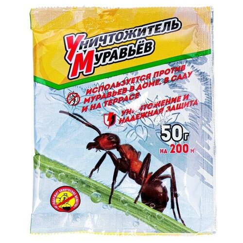 ������ ������ �� 