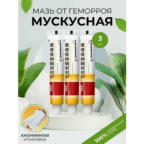 ������ ������ ��������� ���� �� �������� 3 �������� ����