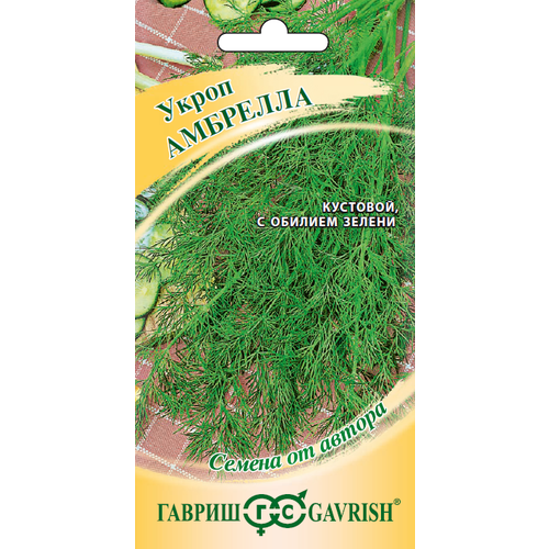 ������ ������ ������ ����� �������� 2� (������) ����� ����