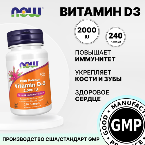 ������ ������ �������� �3-2000 �� 240 ���� ����